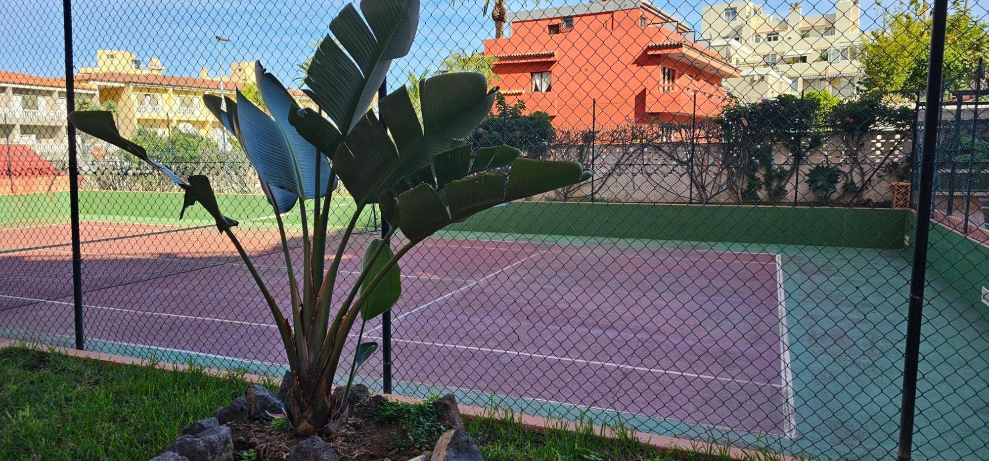 Estudio Tranquilo Cerca Del Mar. Puerto de la Cruz  Bagian luar foto